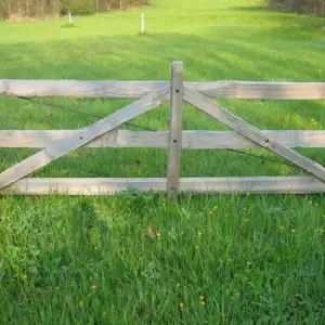 Click Here To View Larger Image