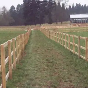 Click Here To View Larger Image