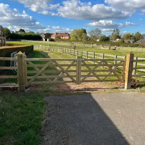 Click Here To View Larger Image