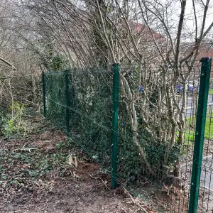 Click Here To View Larger Image